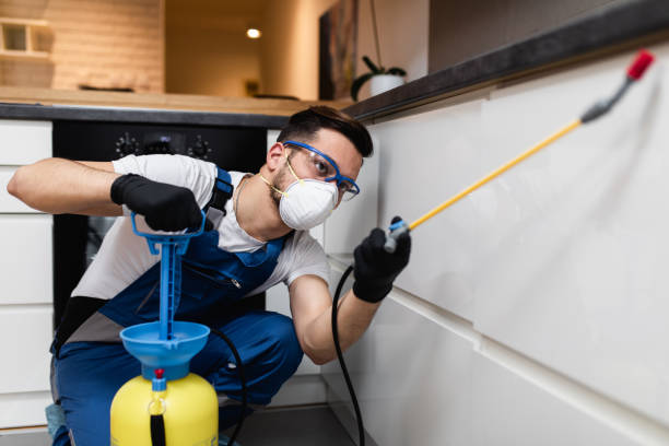 Best Wasp Removal Services  in Keystone, FL