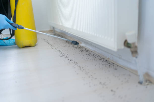 Best Commercial Pest Control Services  in Keystone, FL
